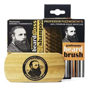 Professor Fuzzworthy Limited Edition Big Beard Care Kit – Beard Shampoo & Boar Bristle Beard Brush – Best Travel Gift Set | 100% Natural & Zero Waste | Organic Essential Oils & Ingredients